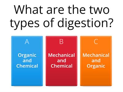 Digestive System Quiz