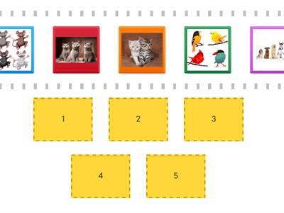 Number identification 1-5