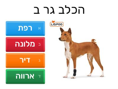 איפה גרות החיות ?