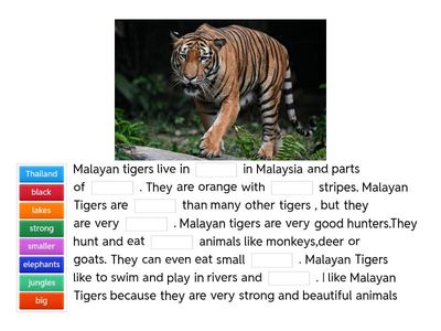 KINAH'S FAVOURITE ANIMAL 