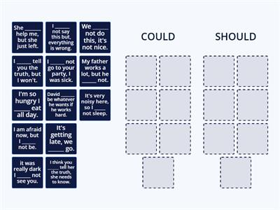 modal verbs (could, should)