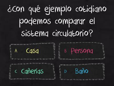 Sistema circulatorio