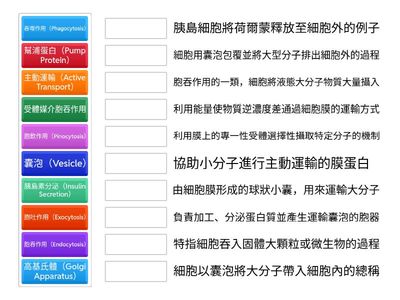 大分子物質進出細胞方式