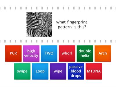 Blood fingerprints test