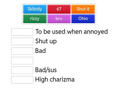 Guide Of Brainrot Words. (TEACHERS RESOURCE)