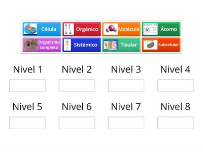 Niveles de organización biológica