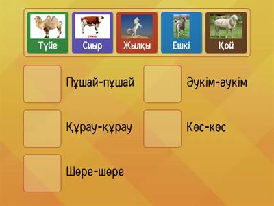 Төрт түлік мал