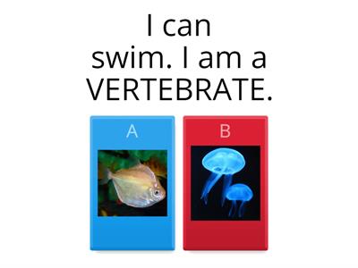 VERTEBRATES AND INVERTEBRATES