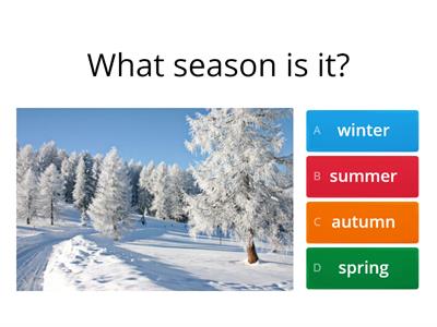 Seasons