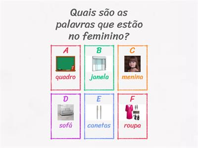 Feminino / Masculino - Fátima Coimbra