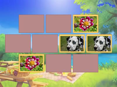 NON-MENDELIAN MATCHING GAME