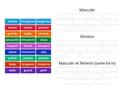 masculin ou féminin - les adjectifs