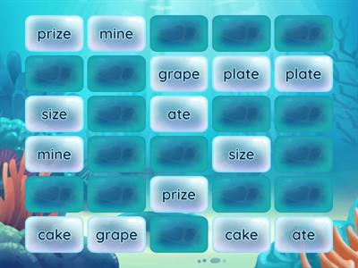 Module 1 Week 3 Matching Pairs