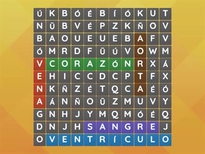 sistema circulatorio