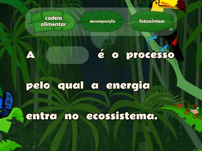 Qual a palavra? Circulação da Matéria e Fluxo de Energia