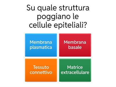 CELLULE DEL CORPO UMANO