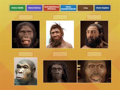 🔍 Find Their Faces: The Homo Edition