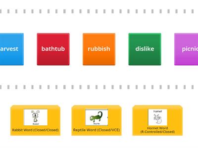 Rabbit/Reptile/Hornet