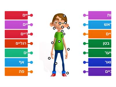 אברי גוף