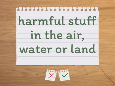 Bug Larvae for Meals