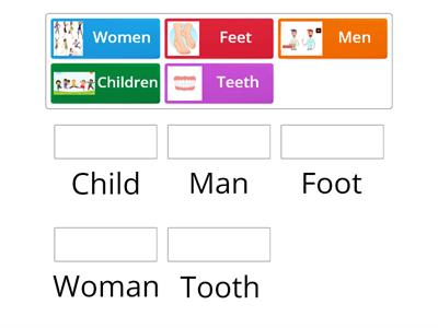 Irregular Nouns(Plural)