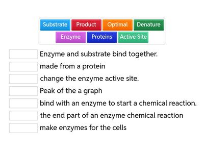 Enzyme Review