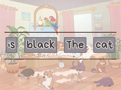 Arrange the correct answer