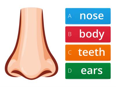 Unit 2- Body parts