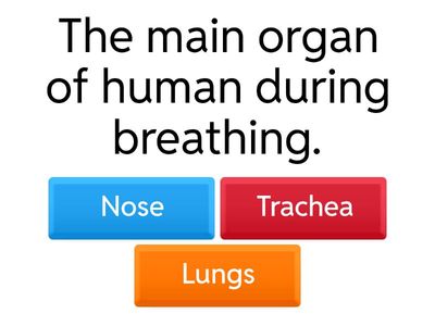 SCIENCE QUIZ YEAR 4 : HUMANS