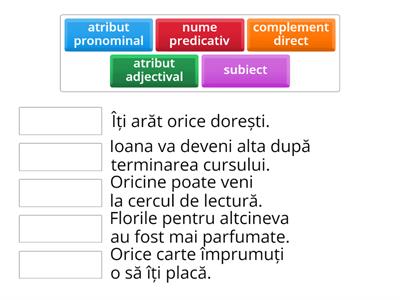 Pronumele și adjectivul pronominal nehotărât-funcții sintactice