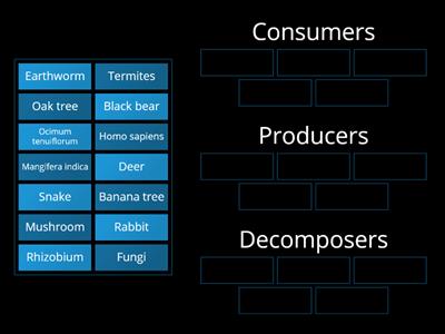 Producers, Consumers and Decomposers | Our environment | Vaibhav Kadav