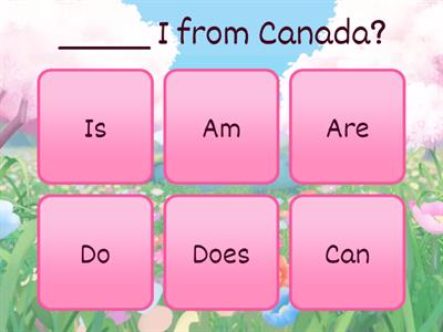 Is/ Am/ Are /Do/Does/ Can