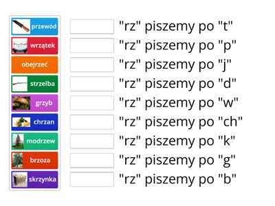 "RZ" PO SPÓŁGŁOSKACH