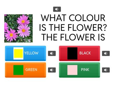 WHAT COLOUR IS ....? 