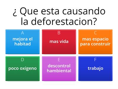 La Deforestacion