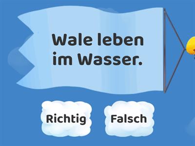 Lies und entscheide: Richtig oder Falsch?