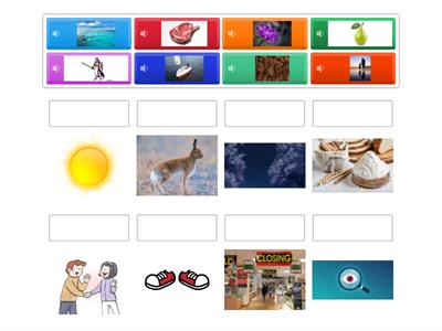 Homophone Hunters Match up