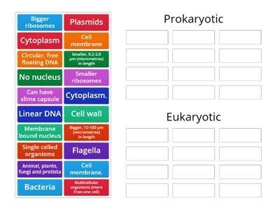 Prokaryotic and eukaryotic cells