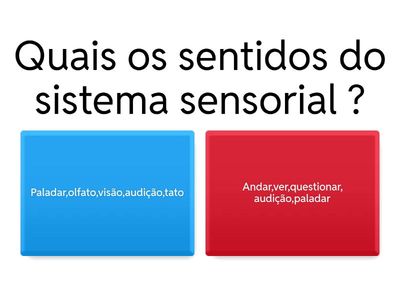 Jogo do Sistema Sensorial