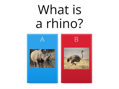 Vocabulario de animales salvajes