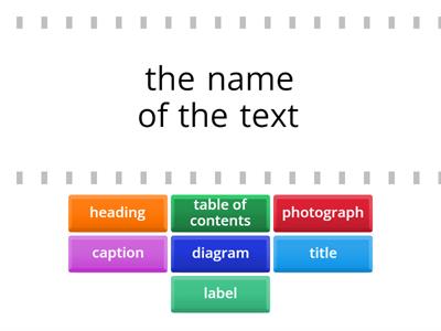 Text Features