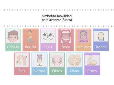 memorice cuido mi cuerpo 