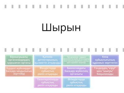 Басқару жүйесінің компоненттері 11 сынып