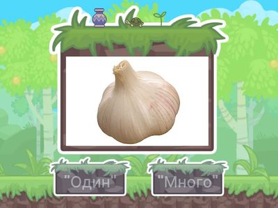 Игра "Один" "Много"