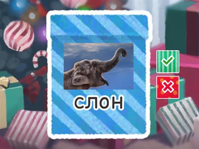 English 5 класс Animal world Карточки