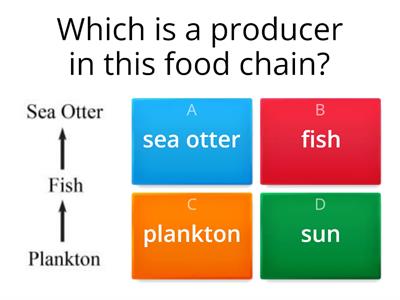 Food Chains and Food Webs