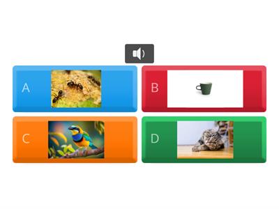 Fun World 1_U1_單字1_聽聲音找圖片