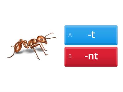 3.1    -nt vs. -t sort-quiz