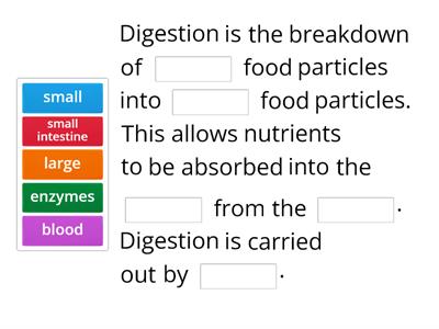 Digestion