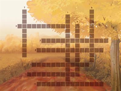 A. Üniversite Hayatı 1